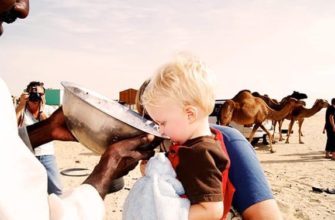 Верблюжье молоко в Египте