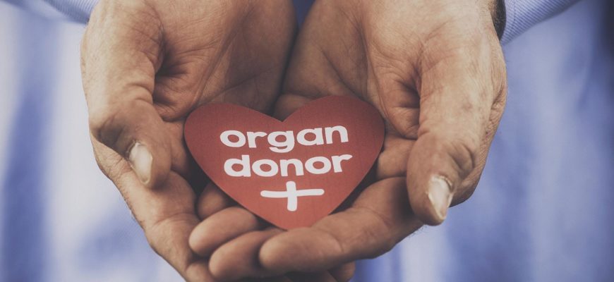 о донорстве органов в Египте