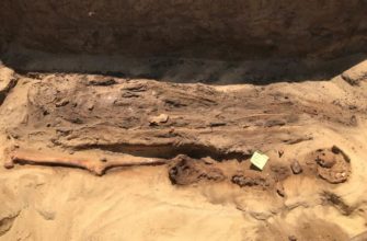 В Египте найдены мумии с золотыми языками